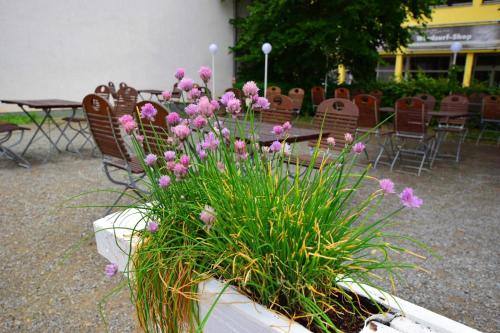 Gallery image of Landhotel Restaurant Deutsche Eiche in Grebenstein