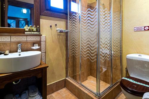 een badkamer met een douche en een wastafel bij Studio Iviscos in Mikrón Khoríon