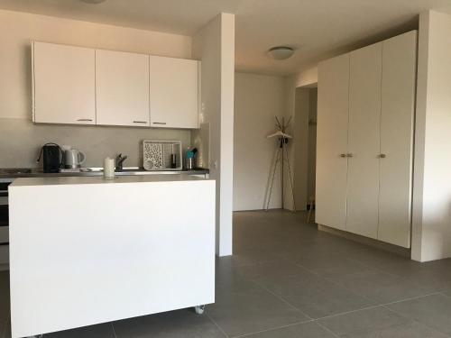 Muralto-Locarno: Miramonti Apt. 17