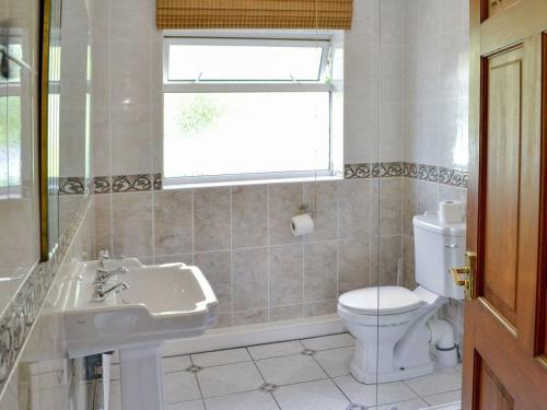 a bathroom with a toilet and a sink and a window at Tan y Gaer in Aberystwyth