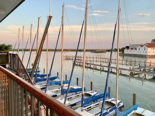 a group of boats docked at a dock at Seehütte Neusiedlersee - Urlaub am Wasser in Rust