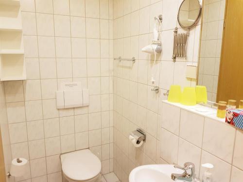 a bathroom with a toilet and a sink and a mirror at Pension An der Erzgebirgsbahn in Kurort Oberwiesenthal
