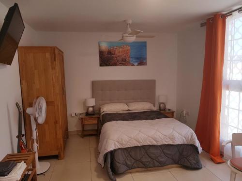 een slaapkamer met een bed en een televisie. bij Estudio nuevo con baño, cocina y gran terraza in Los Realejos