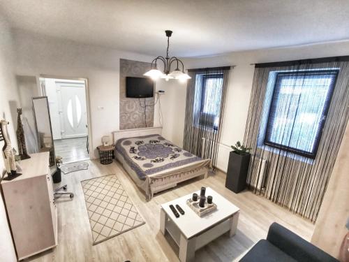 Televízia a/alebo spoločenská miestnosť v ubytovaní Á-B Apartman