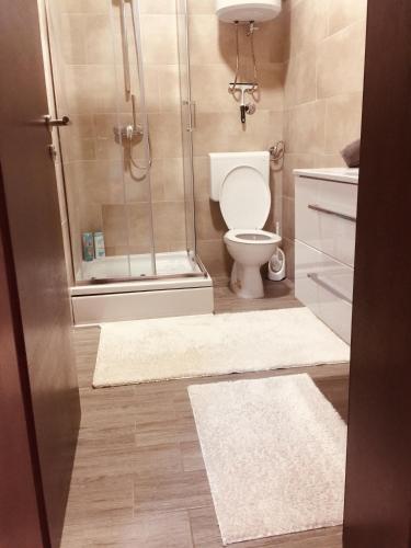 a bathroom with a shower and a toilet and a rug at House Legacy in Bihać