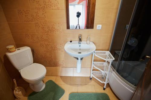 een badkamer met een wastafel, een toilet en een bad bij U Tetyany in Slavske