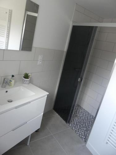 La salle de bains est pourvue d'une douche, d'un lavabo et d'un miroir. dans l'établissement Grand gite du Puy Lambert, à La Flocellière
