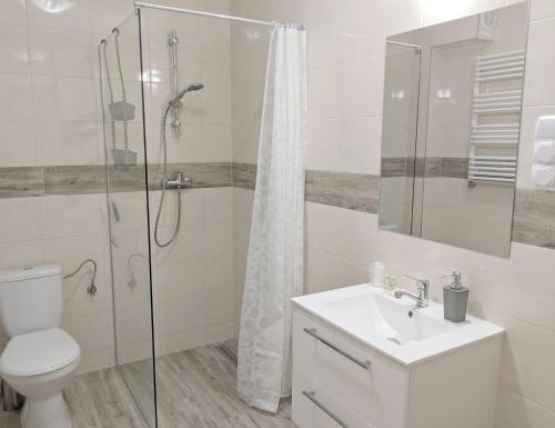 e bagno con servizi igienici, lavandino e doccia. di H2U LUX Hostel Dla Ciebie a Mława