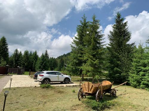 Příroda nedaleko prázdninového domu