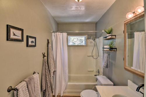 Un baño con ducha, inodoro y lavabo. en Woodsy Cabin Hideaway with Deck Hike, Fish, Escape, en Bordenville