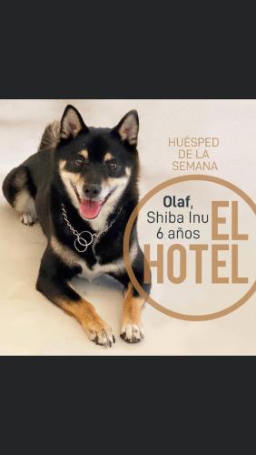 El Hotel – Photos 3