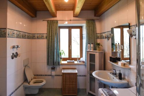 a bathroom with a sink and a toilet and a window at Charmante Chiemgauwohnung in Wasserburg am Inn