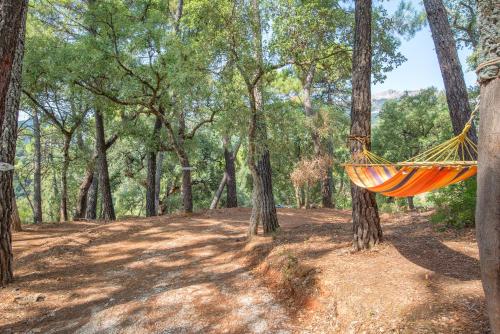 an orange hammock hanging from trees in a forest at Casa Rural Monte Dios in Jubrique