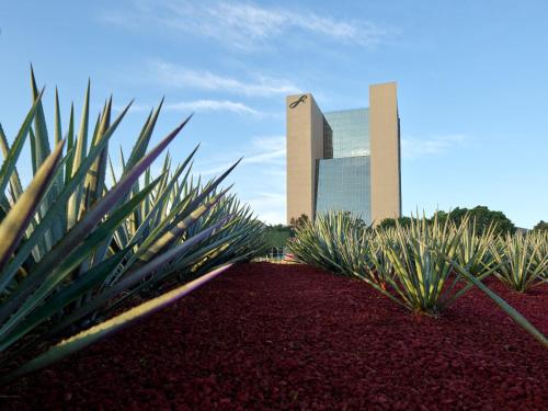 a building with a bunch of plants in front of it at Fiesta Americana Guadalajara in Guadalajara