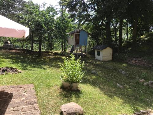 a garden with a house and a plant in the grass at Wanderer Paradies in Pirna