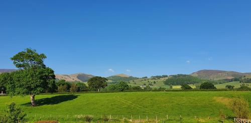 a tree in a green field with mountains in the background at The Granary in Ruthin