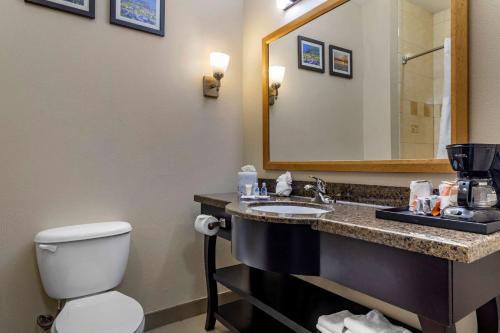 a bathroom with a toilet and a sink with a mirror at Comfort Suites Plano - Dallas North in Plano