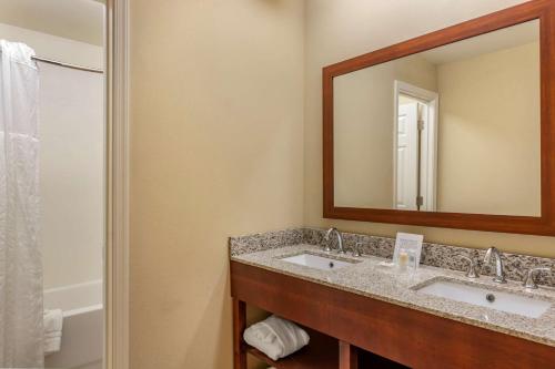 a bathroom with a sink and a mirror at Comfort Inn Petersburg Near Fort Gregg-Adams in Petersburg