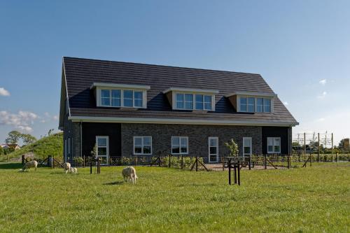 a house with two sheep grazing in a field at Hof Welzinge in Ritthem