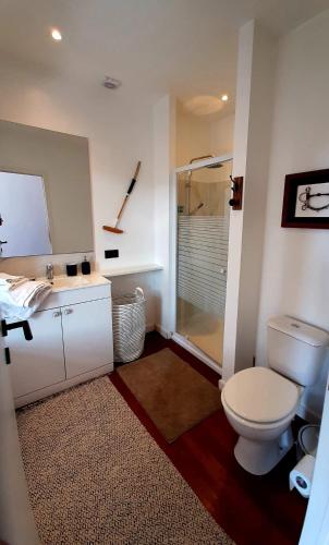 a bathroom with a toilet and a sink and a shower at B&B at Haras Petit-Hallet in Hannut