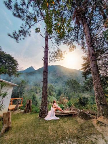 a woman in a dress sitting on a log in a field with trees at Pousada Quinta das Nascentes in Petrópolis