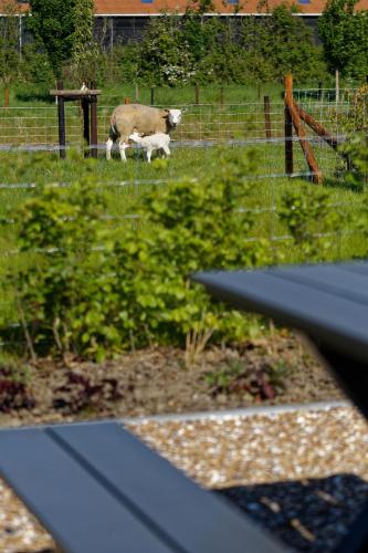 Hof Welzinge – Photos 3