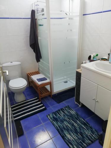 une salle de bain avec toilettes, douche et lavabo dans l'établissement Kerlan 5, à Béganne