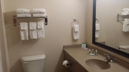 a bathroom with a toilet and a sink and a mirror at Grandstay Hotel and Suites Parkers Prairie in Parkers Prairie