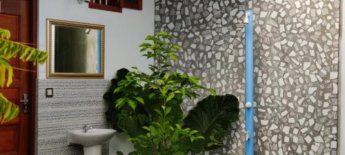 FuvahmulahにあるEquator Holiday Innの洗面台付きのバスルーム、壁の隣の植物