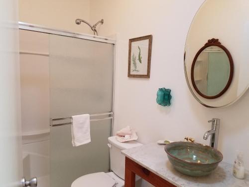 uma casa de banho com um lavatório, um WC e um espelho. em Yosemite Plaisance Bed & Breakfast em Mariposa