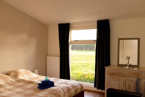 a bedroom with a bed and a mirror and a window at Boeren Burgers Buitenlui in Molenschot