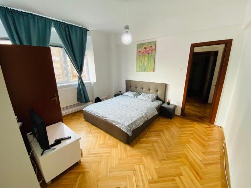 1 dormitorio con 1 cama y TV en Unirii Downtown Apartment, en Bucarest