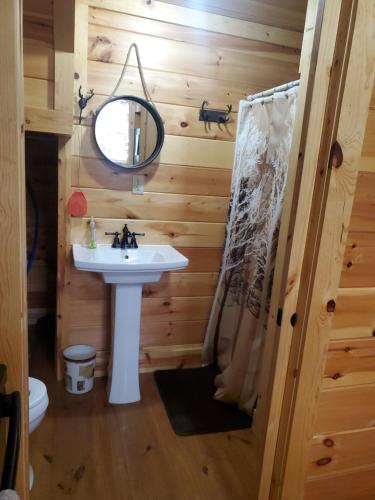 uma casa de banho com um lavatório e um espelho em The Hampton - An Amish Built Deluxe Log Cabin em Genoa