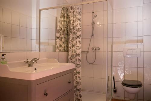 y baño con lavabo, ducha y aseo. en Oldenburger Mühle, en Oldenburg