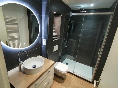 La salle de bains est pourvue d'un lavabo, d'un miroir et de toilettes. dans l'établissement Cocon cosy au centre de Voiron, à Voiron