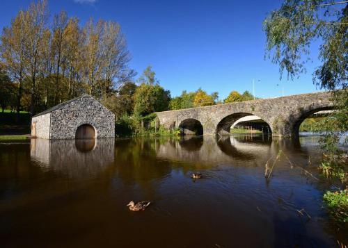 a stone bridge over a river with ducks in the water at Crowne Plaza - Belfast by IHG in Belfast