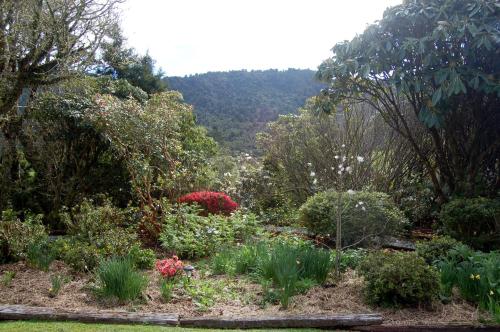 a garden with flowers and plants and trees at Oak Lodge in Greymouth
