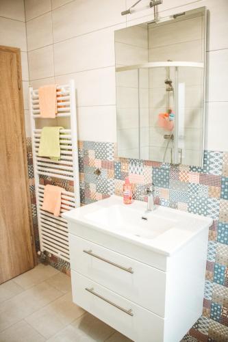 a bathroom with a white sink and a mirror at Entoli Apartment in Podnanos