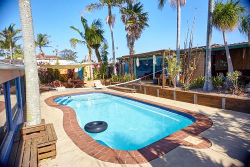 麥覺理港的住宿－奧齊波茨背包客- 麥覺理港國際青年旅舍，一个带spa和棕榈树的游泳池