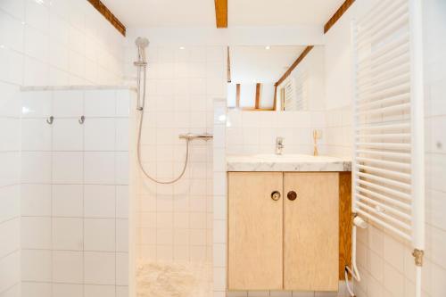 a bathroom with a sink and a shower at Bed & Breakfast of Art in Amsterdam