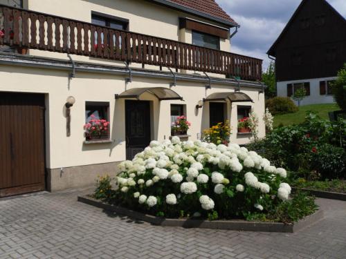 um grande arbusto de flores brancas em frente a uma casa em Ferienwohnung Hartmann em Papstdorf