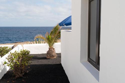 Fotografie z fotogalerie ubytování Bungalows Delmar Natur v destinaci Charco del Palo
