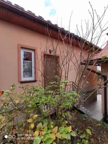 a house with a bush in front of it at Domek u Lucy in Rabka