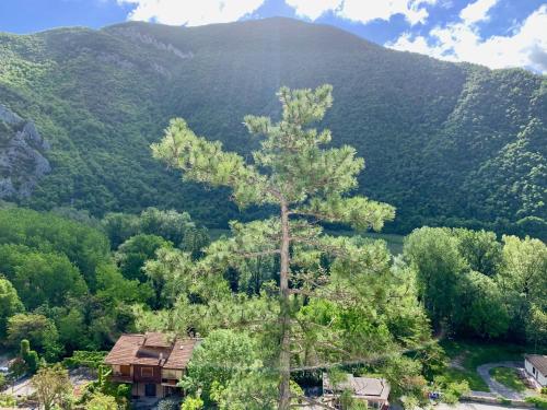 a tree in front of a mountain with a house at La Forestale Luxury Ecolodge B&B Primo Piano in Acqualagna