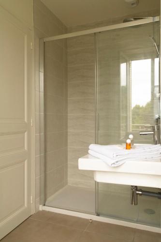 une salle de bain avec une douche avec un lavabo et un miroir dans l'établissement Terres Jaunes, à Avenay-Val-dʼOr