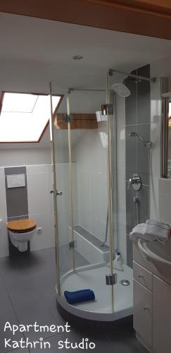 a bathroom with a shower and a toilet and a sink at Ferienwohnung Bosch in Seeg