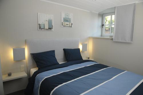 een slaapkamer met een bed met blauwe kussens en een raam bij Le Clos Sigebert in Libramont