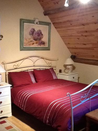 ein Schlafzimmer mit einem großen Bett mit roten Kissen in der Unterkunft La Bellangerie in Colombiers-du-Plessis