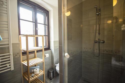 a bathroom with a shower and a toilet and a window at Jégverem Fogadó in Sopron