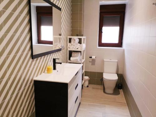 a bathroom with a sink and a toilet at Casa Rural Vereda - Fábrica de Cerveza in Ledigos